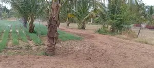 Nilaveli Land for Sale