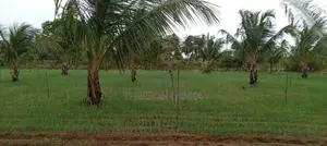 Nilaveli Land for Sale