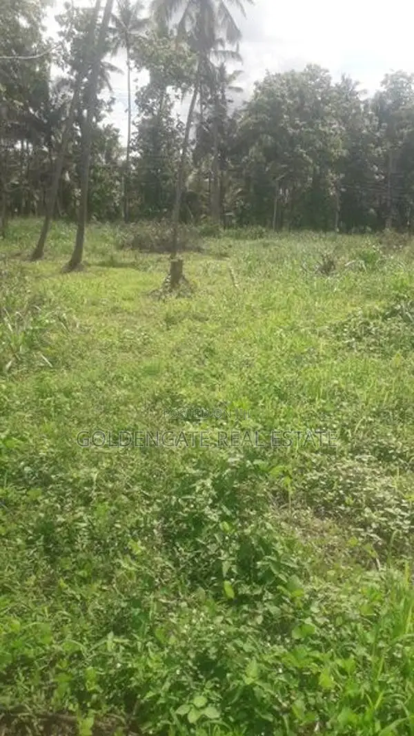 Land for Sale in Merigama