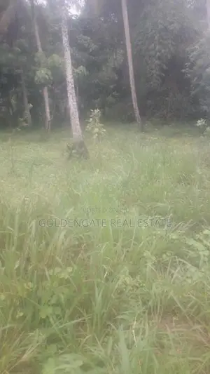 Land for Sale in Merigama