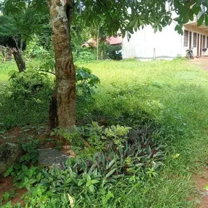 Yakkala Kalagedihena Land for Sale