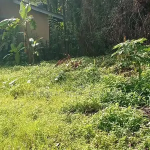 Yakkala Kalagedihena Land for Sale