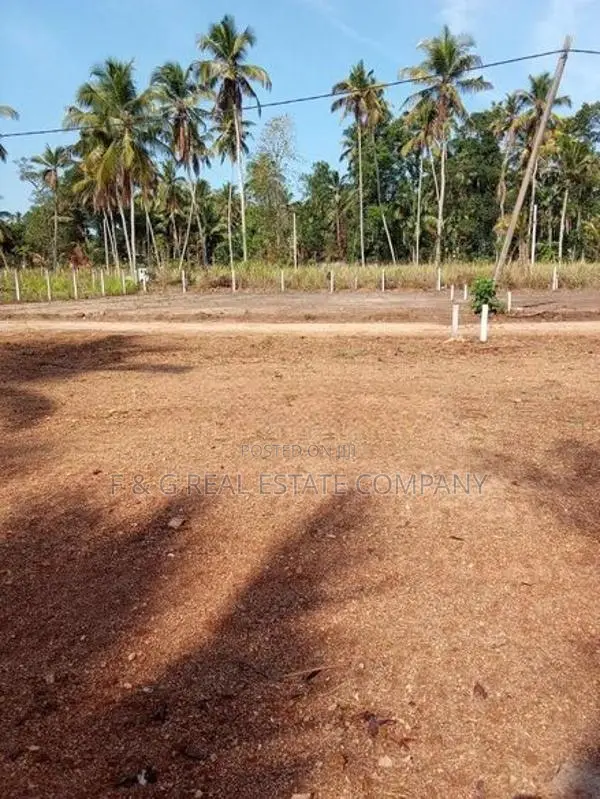 Diulapitiya Ullalapola Land for Sale