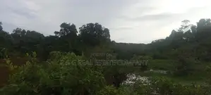 බණ්ඩාරගම වැව පාර බිම්කොටස්