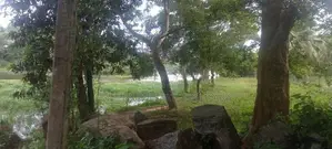 බණ්ඩාරගම වැව පාර බිම්කොටස්