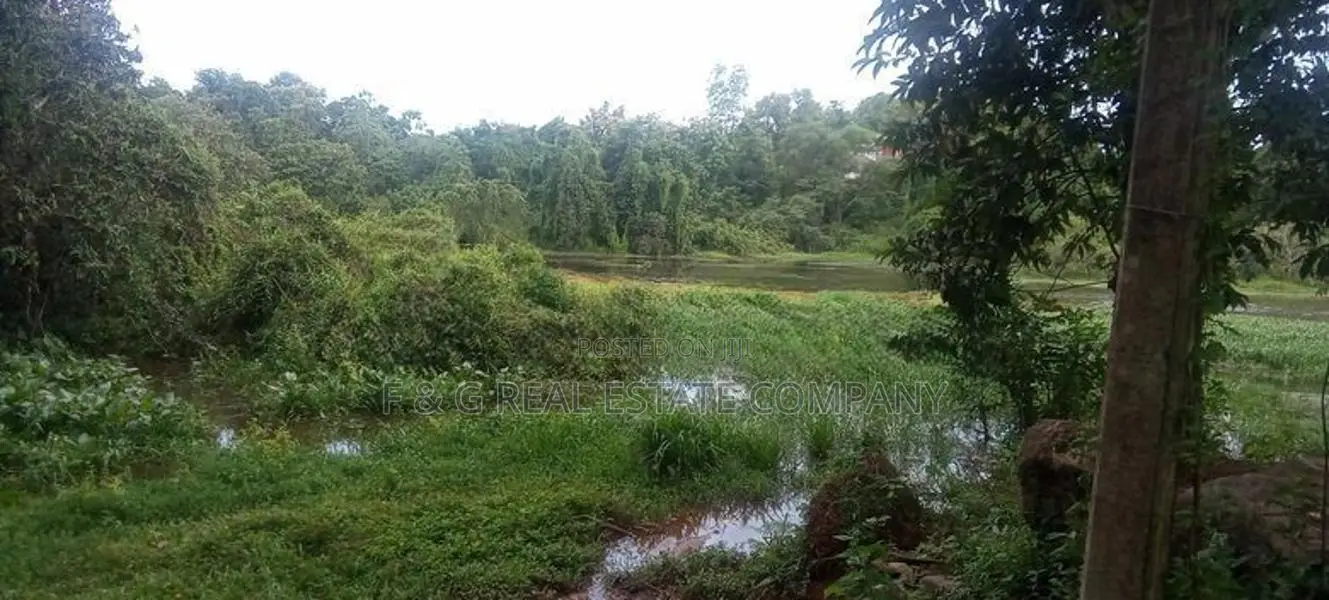 බණ්ඩාරගම වැව පාර බිම්කොටස්