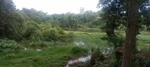 බණ්ඩාරගම වැව පාර බිම්කොටස්