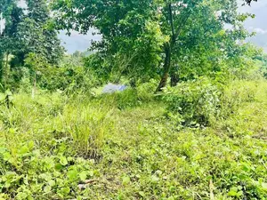 Valuable Land for Sale in Athurugiriya