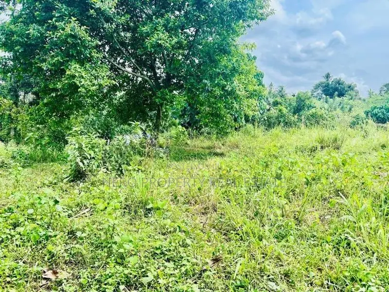 Valuable Land for Sale in Athurugiriya