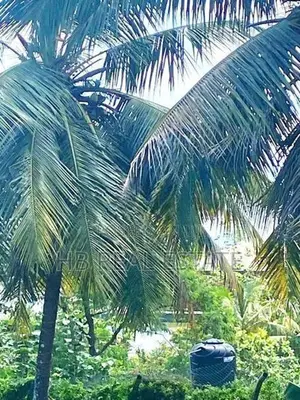 27 Perches Residential Bare Land For Sale In Nugegoda