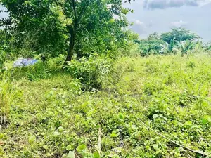 Valuable Land for Sale in Athurugiriya