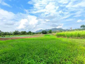 Prime Agro Land for Sale in Matale Dambulla