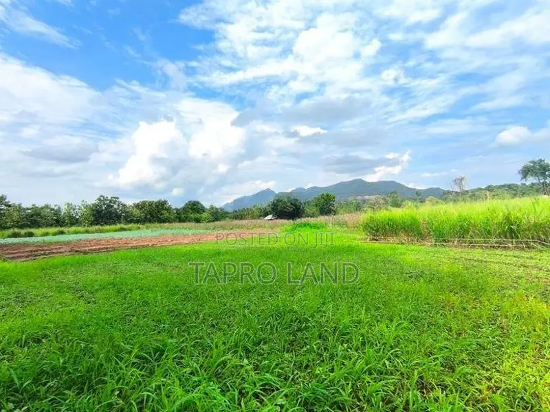 Prime Agro Land for Sale in Matale Dambulla