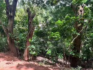Land with Old House for Sale in Poornawatte Kandy