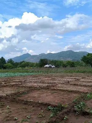 Prime Agro Land for Sale in Matale Dambulla