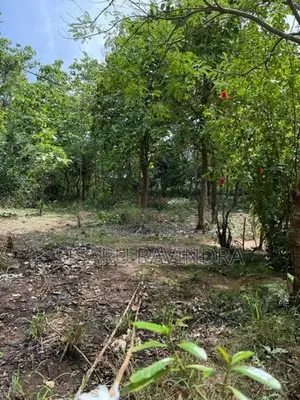 50 Perche Land for Sale Anuradhapura