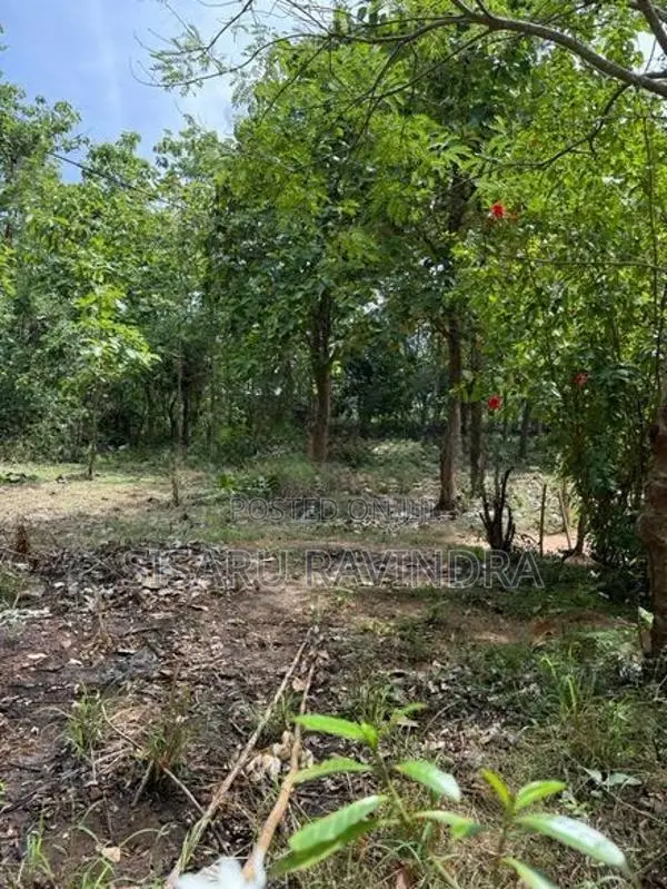 50 Perche Land for Sale Anuradhapura