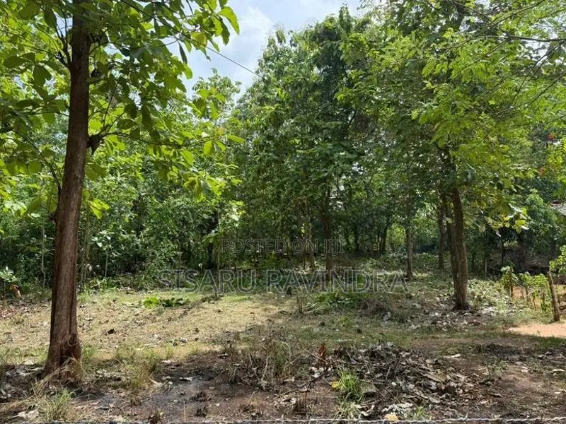50 Perche Land for Sale Anuradhapura