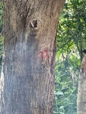 50 Perche Land for Sale Anuradhapura