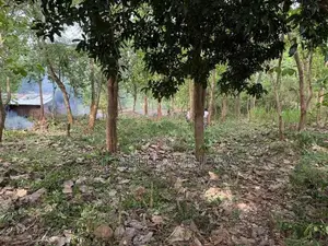 50 Perche Land for Sale Anuradhapura
