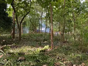 50 Perche Land for Sale Anuradhapura