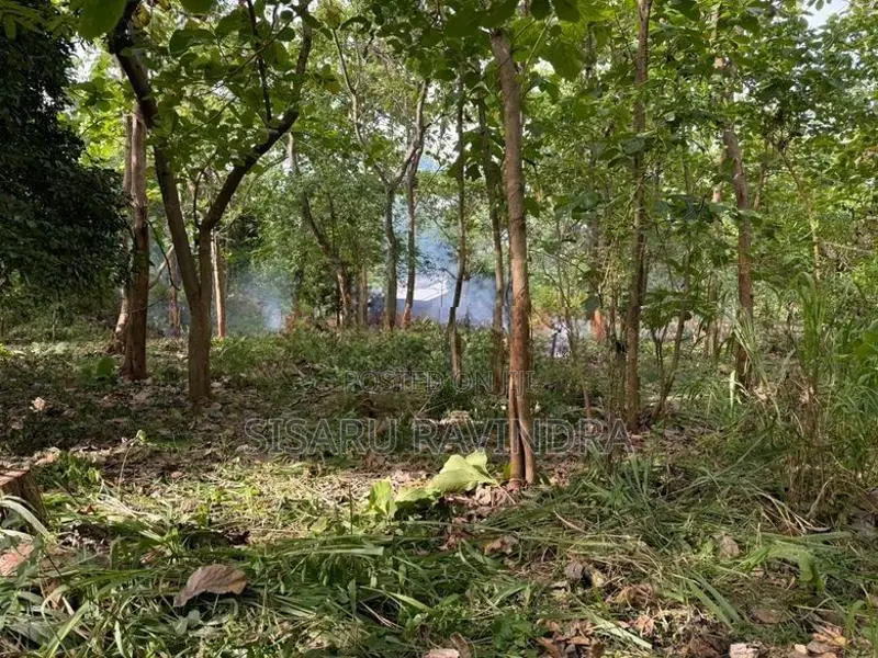 50 Perche Land for Sale Anuradhapura