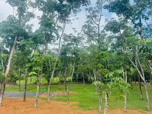 නේවාසික බිම්කොටස් හොරන බැල්ලපිටිය