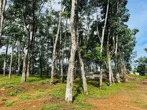 Residential Plots for Sale in Horana Ballapitiya