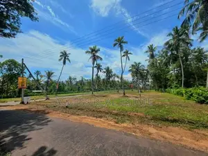 Land for sale in Haggamuwa, Kuliyapitiya