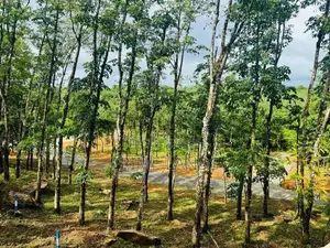 නේවාසික බිම්කොටස් හොරන බැල්ලපිටිය