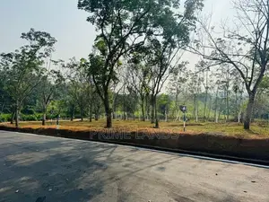 නේවාසික බිම්කොටස් විකිනීමට හොරන