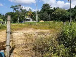 Land for sale in Dikkumbura