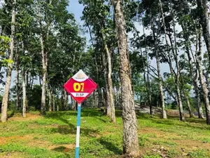 Residential Plots for Sale in Horana Ballapitiya