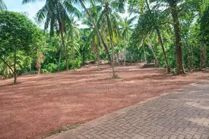 Land for Sale in Nittambuwa Walgammulla Y 86