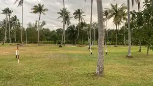 Land for Sale in Mellawagedara