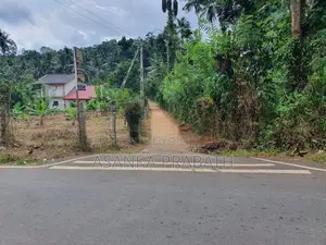අධිවේගී පිවිසීමට ආසන්න ඉතා සාරවත් ඉඩමක් වැලිගමුව