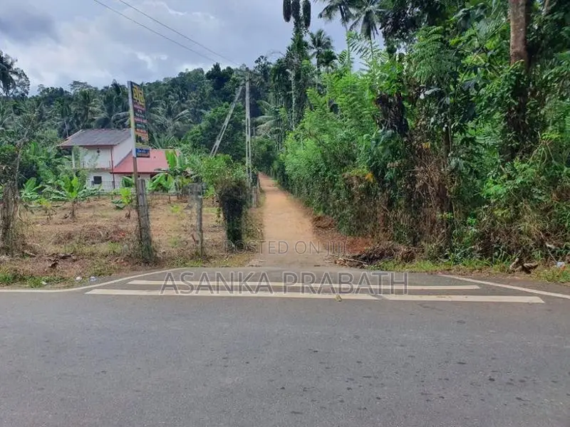 අධිවේගී පිවිසීමට ආසන්න ඉතා සාරවත් ඉඩමක් වැලිගමුව