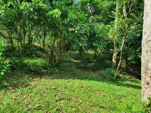 අධිවේගී පිවිසීමට ආසන්න ඉතා සාරවත් ඉඩමක් වැලිගමුව