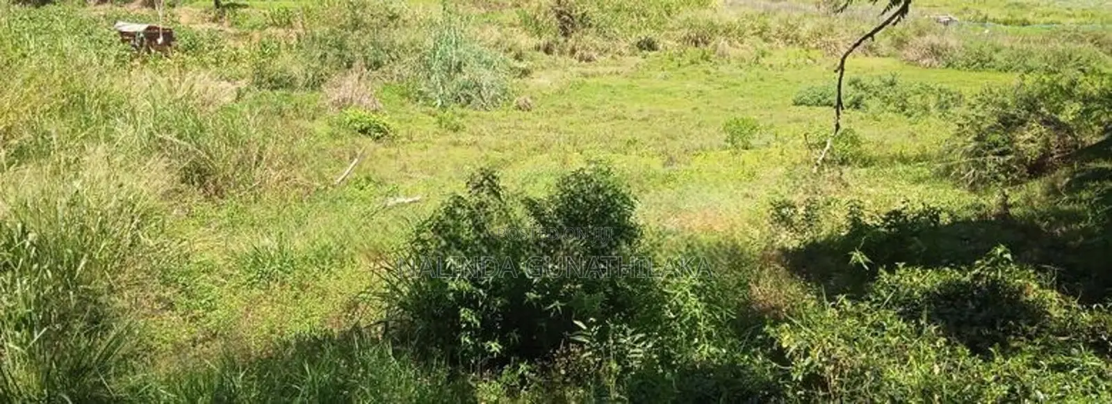 Land for Sale Welimada - Boralanda