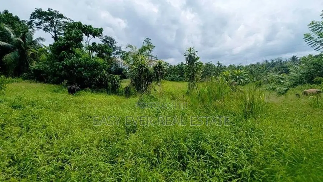 නිට්ටඹුව – කිරිඳිවැල පාරෙන් අගනා ඉඩමක්