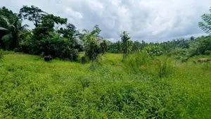 නිට්ටඹුව – කිරිඳිවැල පාරෙන් අගනා ඉඩමක්