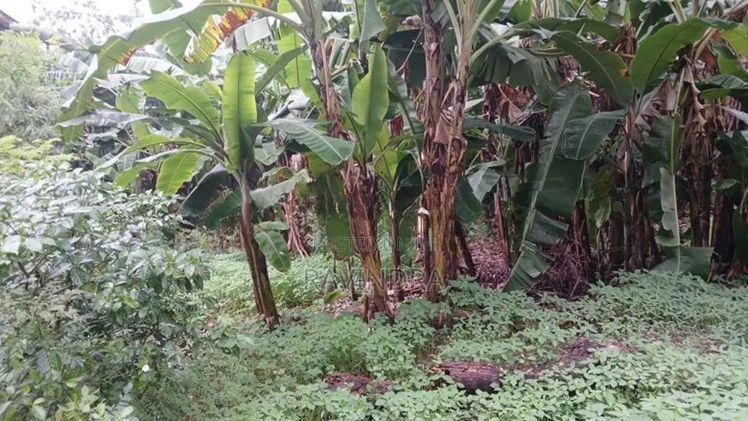 Land for Sale Raththanapitiya Boralesgamuwa