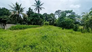 නිට්ටඹුව – කිරිඳිවැල පාරෙන් අගනා ඉඩමක්