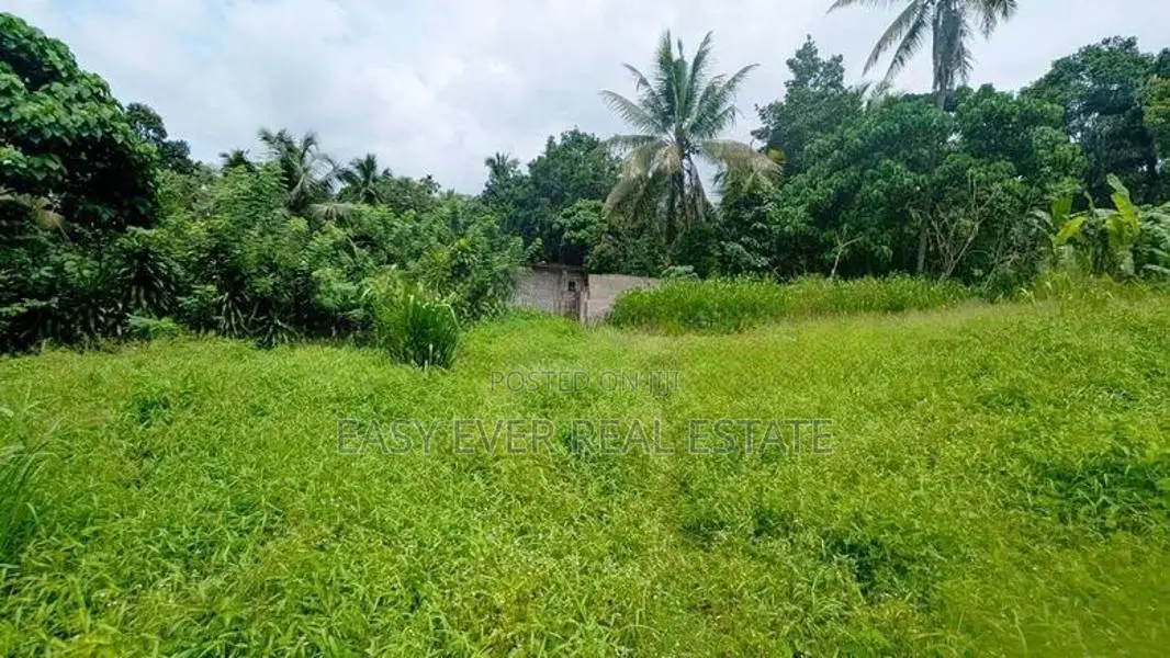 නිට්ටඹුව – කිරිඳිවැල පාරෙන් අගනා ඉඩමක්