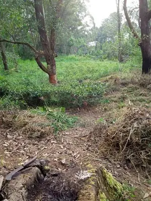 Land for Sale Welimada - Boralanda