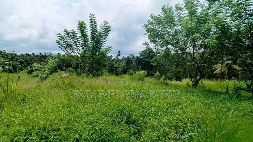 නිට්ටඹුව – කිරිඳිවැල පාරෙන් අගනා ඉඩමක්