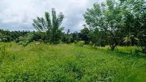 නිට්ටඹුව – කිරිඳිවැල පාරෙන් අගනා ඉඩමක්