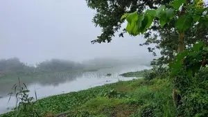 Serene Single-Storey Villa Lake View – Werahera, Boralesgamuwa