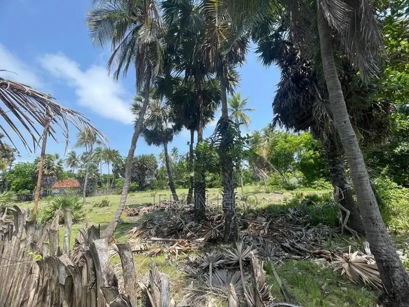 Land for Sale Allaippiddy Jaffna