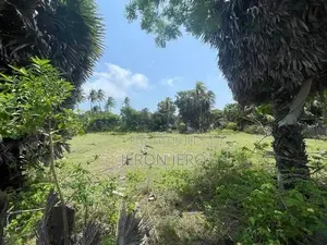 Land for Sale Allaippiddy Jaffna